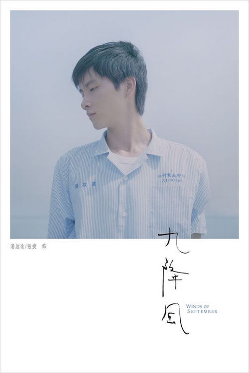办理假税务登记证